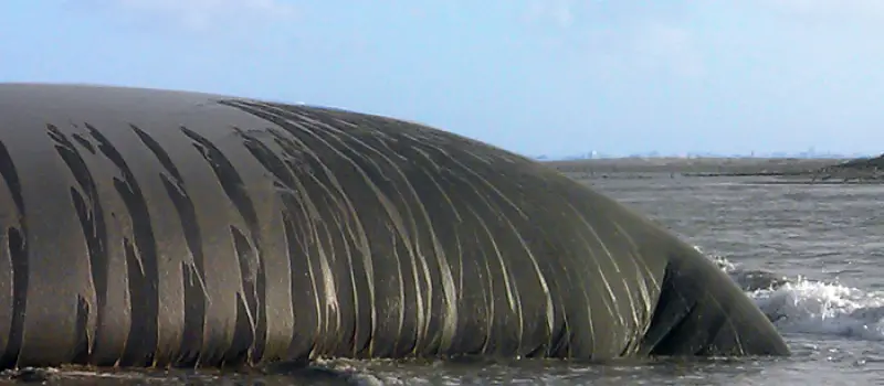 Polage Infravest POLTube Product